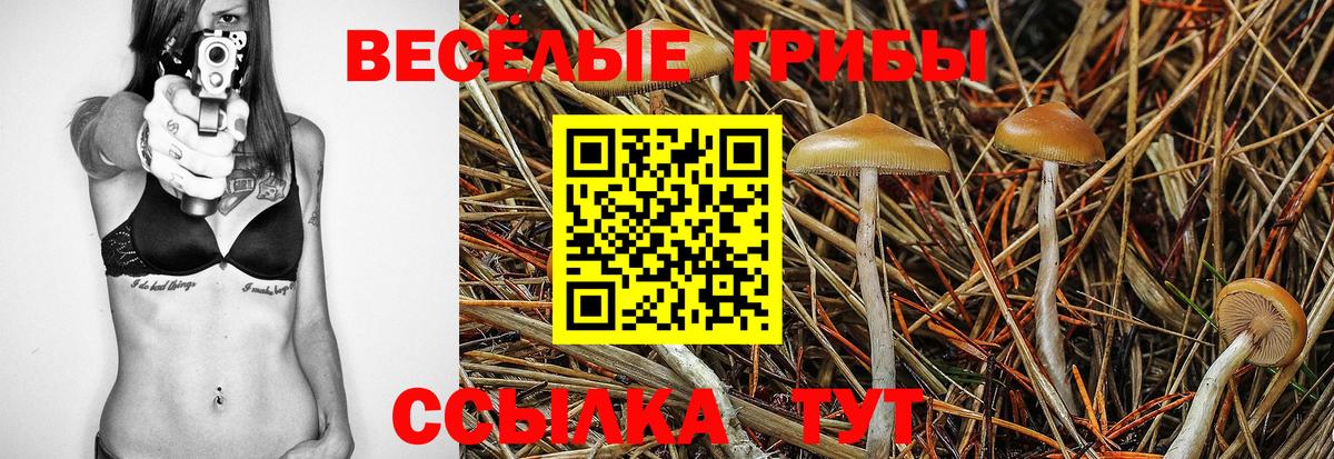 Лосино-Петровский  Галлюциногенные грибы GOLDEN TEACHER  Вход с VPN  Псилоцибиновые грибы ЛСД 