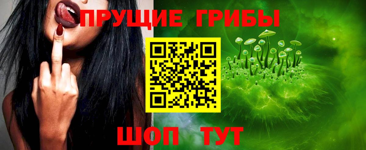 Псилоцибиновые грибы Psilocybe Лосино-Петровский